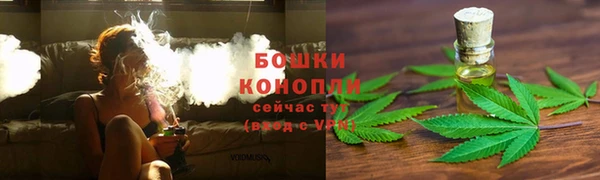 винт Баксан