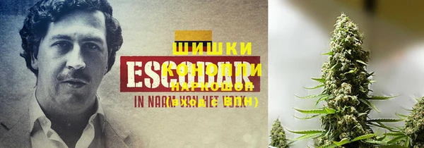 винт Баксан